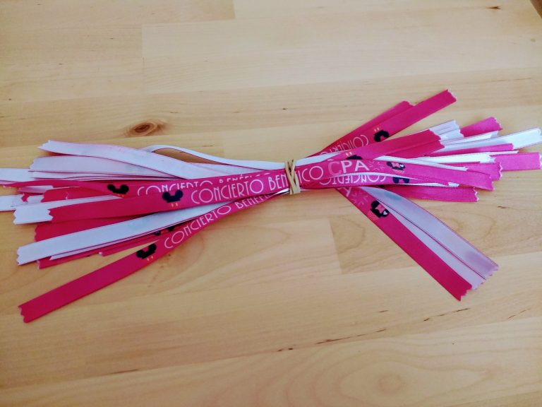 Concierto Benéfico Locos por Disney